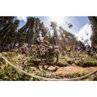 Maxxis Velopneu 61-622 EXO TLR, 29x2.4 WT REKON RACE Dual s/s falt