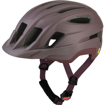 Alpina PARANUS MIPS raisin matt | 52-56
