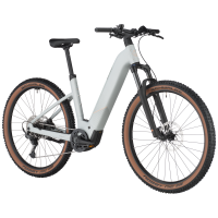 Bergamont Bike E-Revox Sport 20 Wave