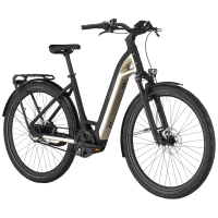 Bergamont Bike E-Ville 20 Belt SBEI/S